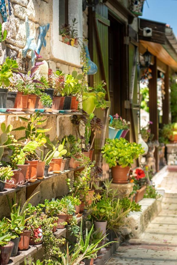 Flores Hotel ألاتشاتي المظهر الخارجي الصورة